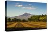 Fields North of Leon and Volcan Telica-Rob Francis-Stretched Canvas