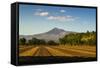 Fields North of Leon and Volcan Telica-Rob Francis-Framed Stretched Canvas