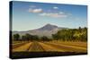 Fields North of Leon and Volcan Telica-Rob Francis-Stretched Canvas