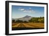 Fields North of Leon and Volcan Telica-Rob Francis-Framed Photographic Print