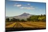 Fields North of Leon and Volcan Telica-Rob Francis-Mounted Photographic Print