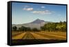 Fields North of Leon and Volcan Telica-Rob Francis-Framed Stretched Canvas