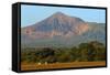 Fields North of Leon and Volcan Telica-Rob Francis-Framed Stretched Canvas