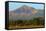 Fields North of Leon and Volcan Telica-Rob Francis-Framed Stretched Canvas