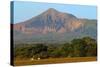 Fields North of Leon and Volcan Telica-Rob Francis-Stretched Canvas