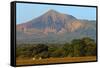 Fields North of Leon and Volcan Telica-Rob Francis-Framed Stretched Canvas