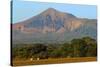 Fields North of Leon and Volcan Telica-Rob Francis-Stretched Canvas