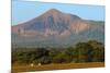 Fields North of Leon and Volcan Telica-Rob Francis-Mounted Photographic Print