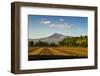Fields North of Leon and Volcan Telica-Rob Francis-Framed Photographic Print