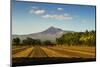 Fields North of Leon and Volcan Telica-Rob Francis-Mounted Photographic Print