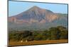 Fields North of Leon and Volcan Telica-Rob Francis-Mounted Photographic Print