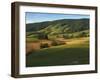 Fields of Burkes Garden, Virginia, USA-Charles Gurche-Framed Premium Photographic Print