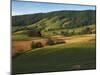 Fields of Burkes Garden, Virginia, USA-Charles Gurche-Mounted Premium Photographic Print