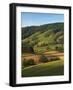 Fields of Burkes Garden, Virginia, USA-Charles Gurche-Framed Photographic Print