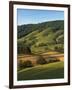 Fields of Burkes Garden, Virginia, USA-Charles Gurche-Framed Photographic Print