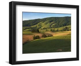 Fields of Burkes Garden, Virginia, USA-Charles Gurche-Framed Photographic Print