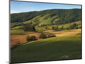 Fields of Burkes Garden, Virginia, USA-Charles Gurche-Mounted Photographic Print