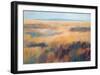 Fields of Color-Jeannie Sellmer-Framed Art Print