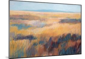 Fields of Color-Jeannie Sellmer-Mounted Art Print