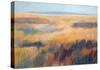 Fields of Color-Jeannie Sellmer-Stretched Canvas