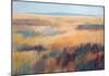 Fields of Color-Jeannie Sellmer-Mounted Giclee Print