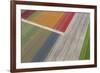 Fields of Colour II-Peter Adams-Framed Giclee Print