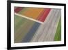 Fields of Colour II-Peter Adams-Framed Giclee Print