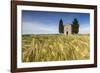 Fields of ears of corn on the gentle green hills of Val d'Orcia, UNESCO World Heritage Site, Provin-Roberto Moiola-Framed Photographic Print