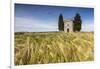 Fields of ears of corn on the gentle green hills of Val d'Orcia, UNESCO World Heritage Site, Provin-Roberto Moiola-Framed Photographic Print