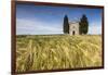 Fields of ears of corn on the gentle green hills of Val d'Orcia, UNESCO World Heritage Site, Provin-Roberto Moiola-Framed Photographic Print