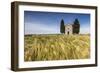 Fields of ears of corn on the gentle green hills of Val d'Orcia, UNESCO World Heritage Site, Provin-Roberto Moiola-Framed Photographic Print