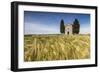 Fields of ears of corn on the gentle green hills of Val d'Orcia, UNESCO World Heritage Site, Provin-Roberto Moiola-Framed Photographic Print