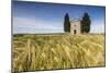 Fields of ears of corn on the gentle green hills of Val d'Orcia, UNESCO World Heritage Site, Provin-Roberto Moiola-Mounted Photographic Print