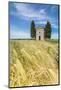 Fields of ears of corn on the gentle green hills of Val d'Orcia, UNESCO World Heritage Site, Provin-Roberto Moiola-Mounted Photographic Print