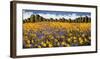 Fields of Gold-Wayne Leidenfrost-Framed Giclee Print