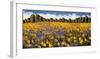 Fields of Gold-Wayne Leidenfrost-Framed Giclee Print