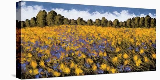 Fields of Gold-Wayne Leidenfrost-Stretched Canvas