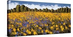 Fields of Gold-Wayne Leidenfrost-Stretched Canvas