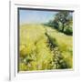 Fields of Gold-Nel Whatmore-Framed Art Print