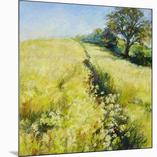 Fields of Gold-Nel Whatmore-Mounted Art Print
