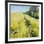 Fields of Gold-Nel Whatmore-Framed Art Print