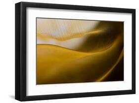 Fields of Gold-null-Framed Art Print