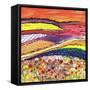 Fields of Gold-Caroline Duncan-Framed Stretched Canvas