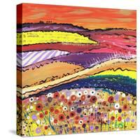 Fields of Gold-Caroline Duncan-Stretched Canvas