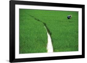 Fields of Green-Basil Pao-Framed Giclee Print