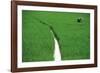 Fields of Green-Basil Pao-Framed Giclee Print