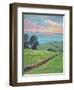 FIELDS OF GREEN-ALLAYN STEVENS-Framed Art Print