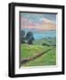 FIELDS OF GREEN-ALLAYN STEVENS-Framed Art Print