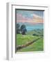 FIELDS OF GREEN-ALLAYN STEVENS-Framed Art Print