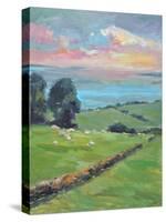 FIELDS OF GREEN-ALLAYN STEVENS-Stretched Canvas
